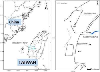 Association Between Estuary Characteristics and Activities of the Critically Endangered Indo-Pacific Humpback Dolphin (Sousa chinensis)